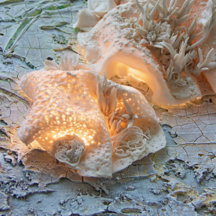 Macro view of glowing porcelain forms illuminated from within, from Aida Izadpanah's Resilience wall sculpture series